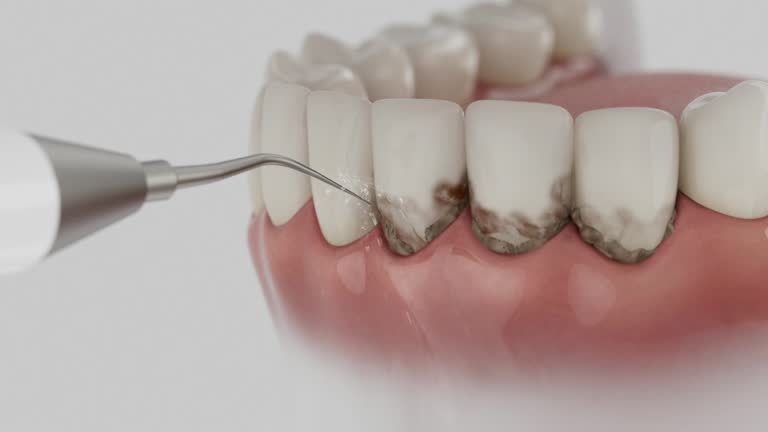 Reliable Dental contractor in Parrish, AL by Dentist Open Now